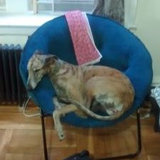 Profile Picture of Joe Romine (@Romine703) on Twitter