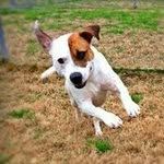 Profile Picture of Laura Bachmann (@bachmann.laura) on Instagram