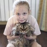 Profile Picture of liza kononenko (@lisa_flamingo10) on Instagram