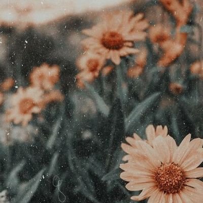 Profile Picture of Viltė Rutkauskaitė (@ViltRutkauskai3) on Twitter