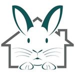 Profile Picture of Harvey's House Rabbit Rescue (@harveyshouserabbits) on Instagram