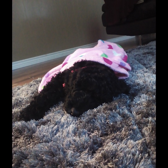 Profile Picture of Heather Kobbe (@hkobbe) on Poshmark