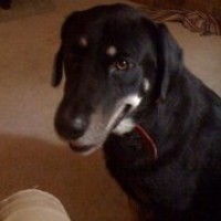 Profile Picture of Brad Daniels  (@brad-daniels-64) on Quora
