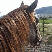 Profile Picture of JoAnn Hefner (@jmhefner) on Pinterest
