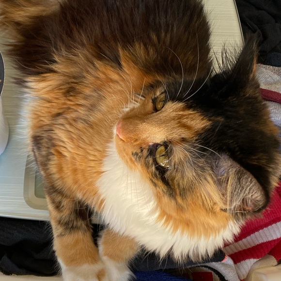 Profile Picture of Jack Jessee (@jackkjessee) on Poshmark