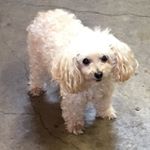 Profile Picture of Jenna❤️ (@jennaahoyt) on Instagram