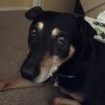 Jake McDorman - Facebook Profile Picture of Jake McDorman (@jake.mcdorman.779) on Facebook