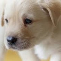 Profile Picture of Erin Marks (@erin-marks-17) on Quora