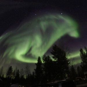 Profile Picture of Mmr (@malia_michelle) on Myspace