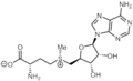 Profile Picture of S-Adenosyl methionineon Wikipedia