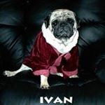 Profile Picture of Andrea Pieri (@pieri8774) on Instagram