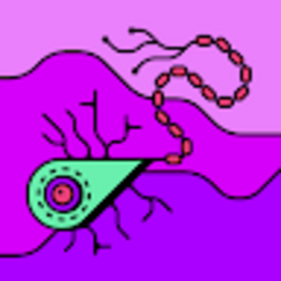 Profile Picture of David Weyman (@davidsweyman) on Poshmark