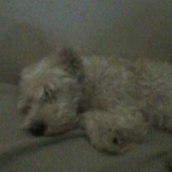 Profile Picture of Jake Lyons (@jakelyons6300) on Poshmark