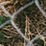 Profile Picture of Chris (@topherbanks) on Flickr