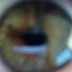 Profile Picture of Hi, Im Alexander G. Stillwell. (@alexandy.spamz) on Instagram