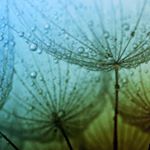 Profile Picture of Karen Cooley (@natures.klean) on Instagram