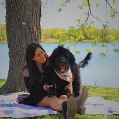 Profile Picture of Jess Freibert (@jessandmorrie) on Tiktok