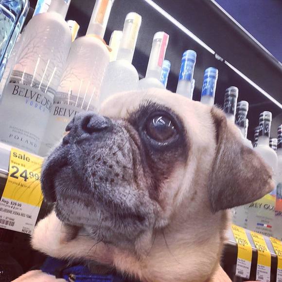 Mark Serey - Poshmark Profile Picture of Mark Serey (@mserey) on Poshmark