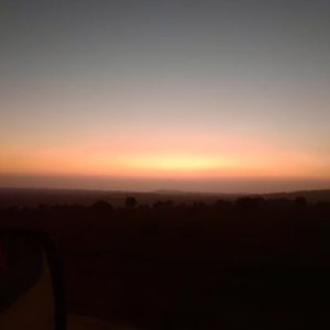 Profile Picture of Zohar Amir (@ZoharAmir3) on Twitter