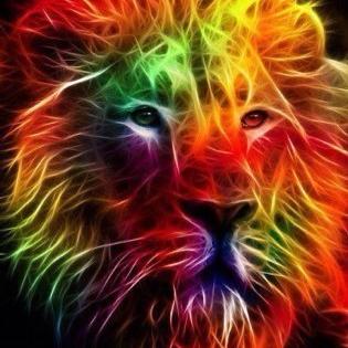 Profile Picture of Shomron Ben Abraham (@shomron88) on Twitter