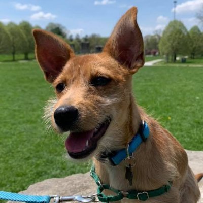 Profile Picture of Jennifer Morlan (@JennyMorlan) on Twitter