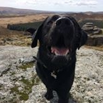 Profile Picture of George Cleaver (@georgie_0fficial) on Instagram