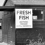 Profile Picture of Gary (@coventgardenfish) on Instagram