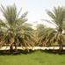 Profile Picture of Sofia Abdullah (@sofia.abdullah.359) on Facebook