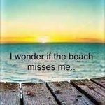 Profile Picture of Kelly Tripp (@trippster50) on Instagram