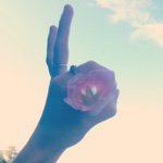 Alex Beaton - Instagram Profile Picture of Alex Beaton (@iamalexbeaton) on Instagram