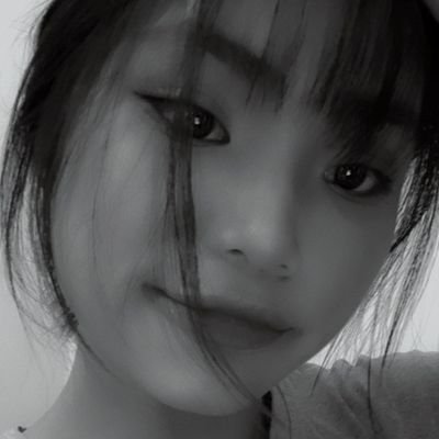 Profile Picture of Ngoc Ha (@nhaf04) on Twitter