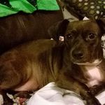 Profile Picture of Lisa Yates (@lisa.yates.142892) on Instagram