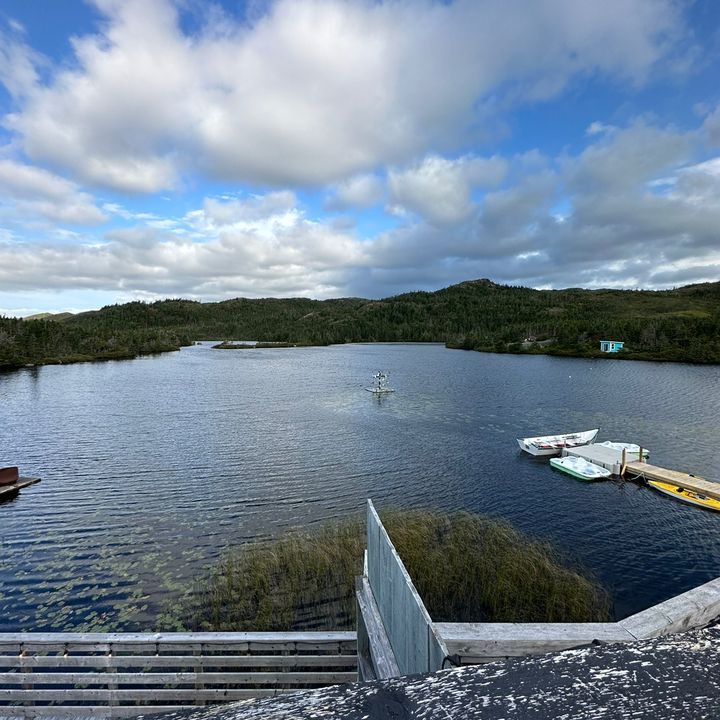 Profile Picture of Dave 😩 (@davegilli) on Tiktok