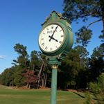 Profile Picture of Tim E. Handley (@palmetto_watch_guy) on Instagram