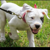 Profile Picture of Raymond Moreno (@raymondmoreno722) on Youtube