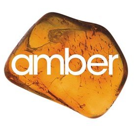 Profile Picture of Amber De Wilde (@AmberdeWilde3) on Twitter