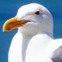 Profile Picture of Keith Zehr Iii (@keith-zehr-iii-2) on Quora