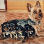 Profile Picture of Hana Brentnerová (@hanabrentnerova) on Instagram