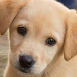 Profile Picture of alicia lara (@alicia.la007) on Instagram