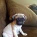 Profile Picture of Clara J Moad Bennett (@Clara-J-Moad-Bennett) on Facebook