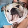 Profile Picture of Buddy Clark (@@buddyjac) on Tiktok