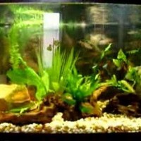 Profile Picture of Tia Gray (@tia-gray-17) on Quora