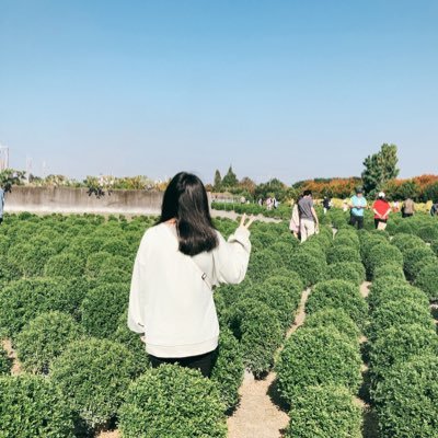 Profile Picture of Shu Hua (@pu_wang) on Twitter