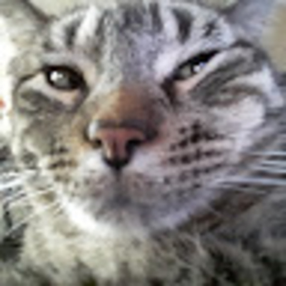 Profile Picture of Mirandy Mirandy (@mirandaleblanc1) on Poshmark