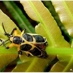 Profile Picture of Tabitha Lamb (@tabitha8lamb) on Instagram