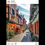 Profile Picture of Robyn Chandler (@robynechandler) on Instagram