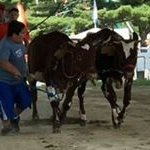 Mark Ramsdell - Instagram Profile Picture of Mark Ramsdell (@mark.ramsdell.5) on Instagram