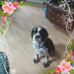 Profile Picture of Tina Maire Andreotti (@tina.andreotti) on Facebook