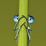 Profile Picture of Sandra Mackey (@mackeykampfsandra) on Instagram