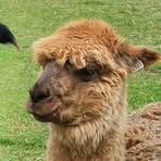 Profile Picture of Daniel Stasiak (@MaSoL1310) on Facebook